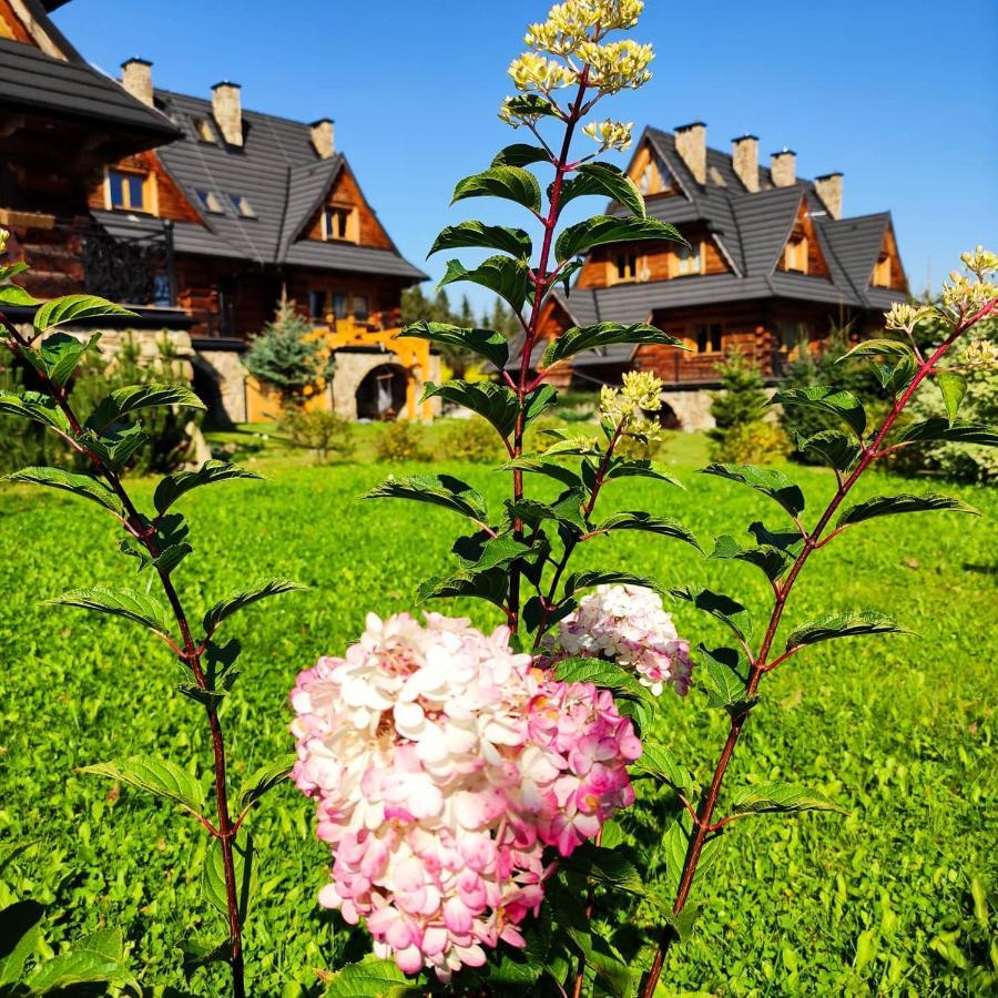 Krokus Park Residence Koscielisko Bagian luar foto